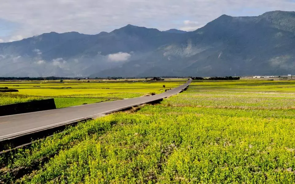 Hoa Liên đến Đài Đông