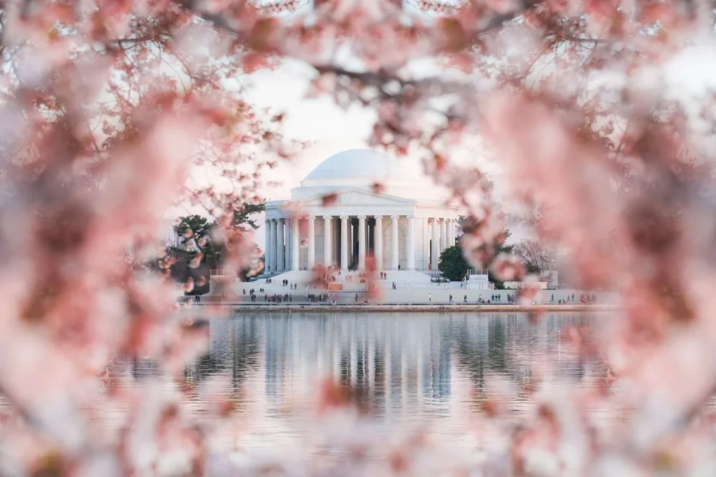 Ngắm hoa anh đào ở Washington, DC