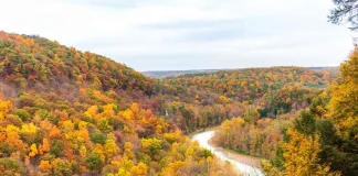 Công viên tiểu bang Letchworth