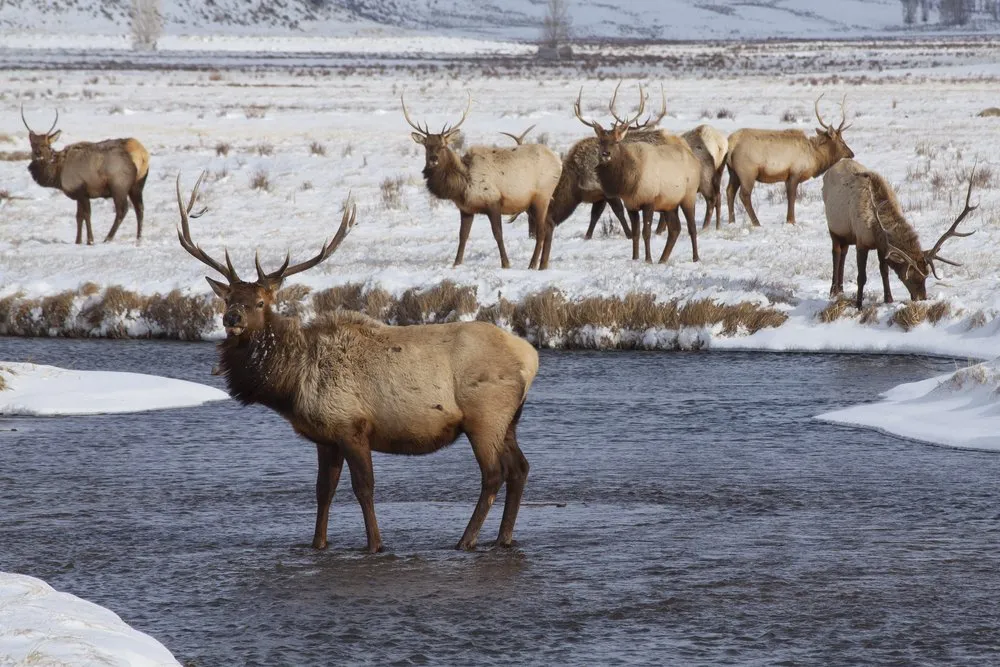 Thời tiết ở Công viên quốc gia Yellowstone