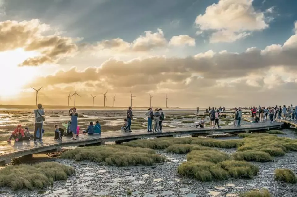 Những việc phải làm ở Gaomei Wetlands